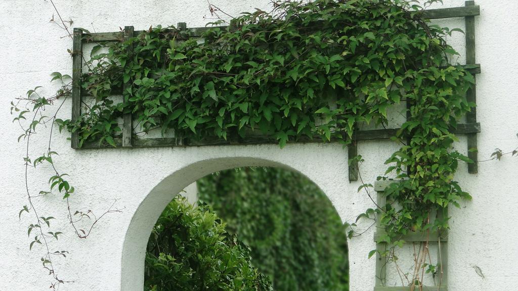 Jessamine House Guest house Gravesend