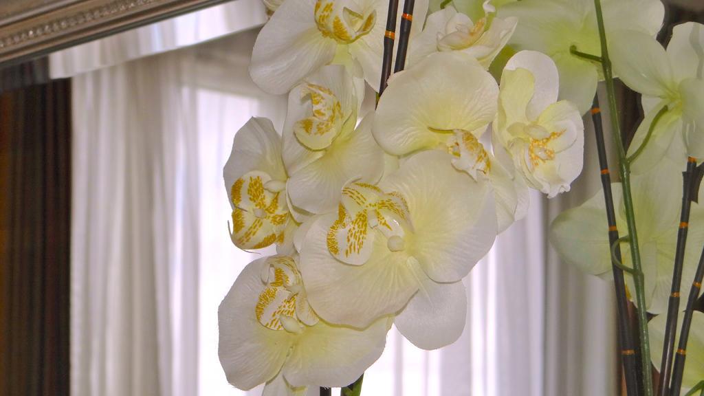 Jessamine House Guest house 4*