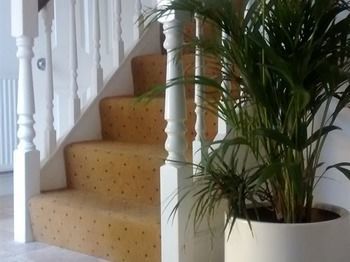 Jessamine House Guest house 4*